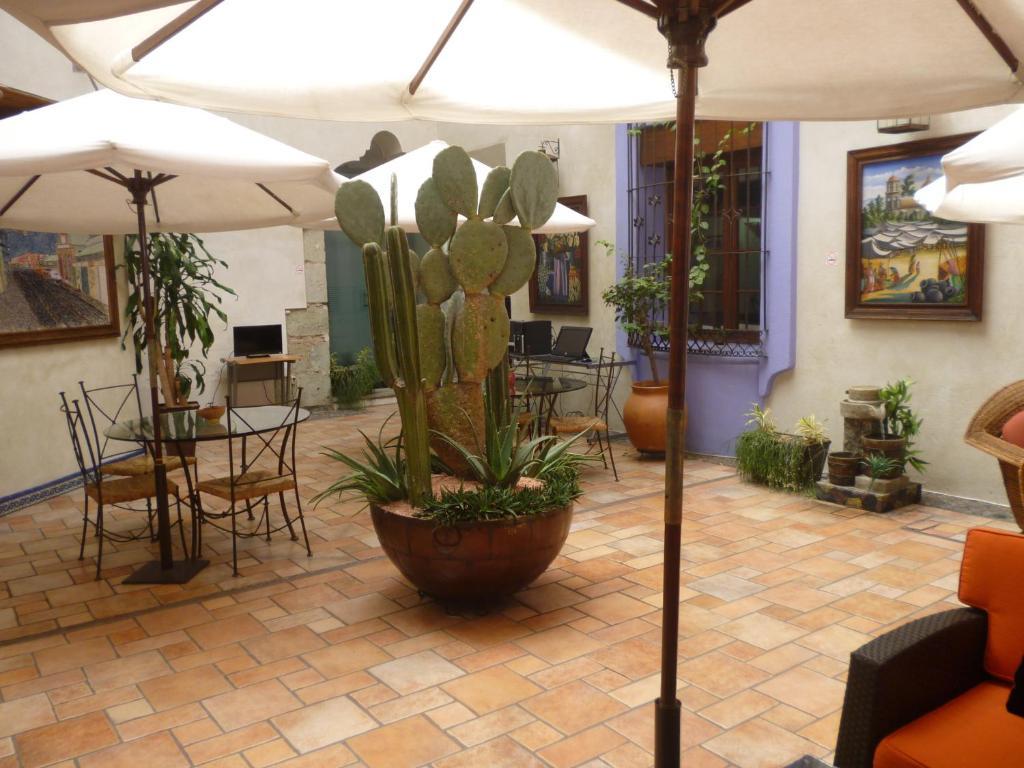 Hotel Trebol Oaxaca Cameră foto
