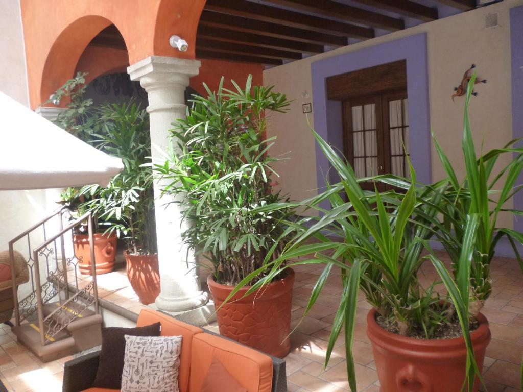 Hotel Trebol Oaxaca Cameră foto