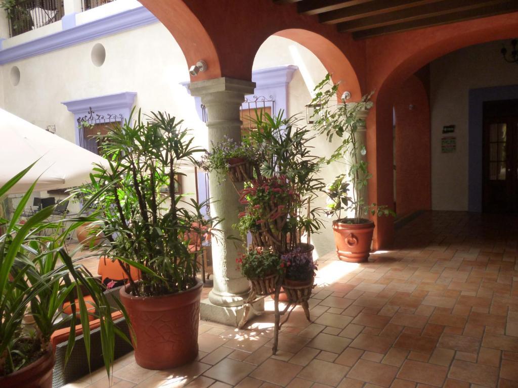 Hotel Trebol Oaxaca Cameră foto